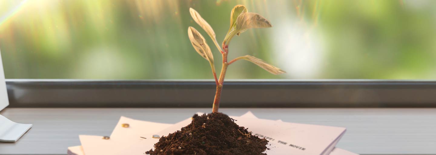 Is There Plastic In Your Brain? Climate Stories Are Part of Everyday Life